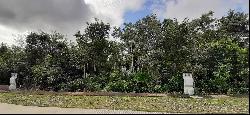 5584 - Land lot for sale in Paseo de la Selva S.M. 325 Macunis L, 