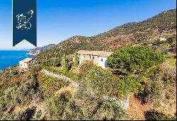 Estate of historical value for sale in the wild part of coast that is before the Cinque Te