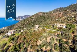 Estate of historical value for sale in the wild part of coast that is before the Cinque Te