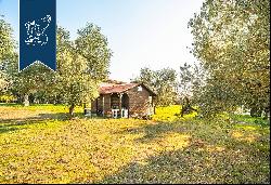 Wonderful villa with an outbuilding for sale on the hills on the outskirts of Verona