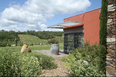 Wine estate 30 ha AOP Faugères with gite