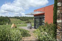 Wine estate 30 ha AOP Faugères with gite