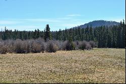 6665 Meadow Creek Road, Fortine MT 59918