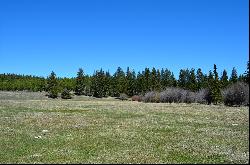 6665 Meadow Creek Road, Fortine MT 59918