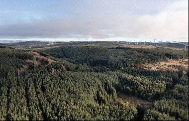 Lot 1 Griffin & Ballinloan A, Forests & Griffin Wind Farm, Aberfeldy, Perthshire, PH15 2EB