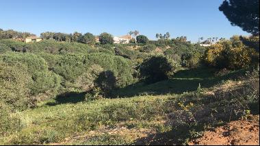 Plot for sale, with project and building license in Sotogrande