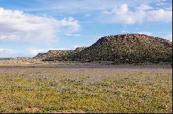 Gooseberry Springs Ranch