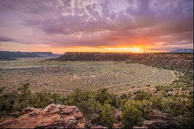 Gooseberry Springs Ranch