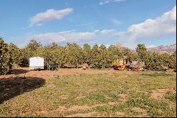 Gooseberry Springs Ranch