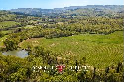 Chianti - VINEYARDS FOR SALE BETWEEN FLORENCE AND SIENA