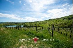 Chianti - VINEYARDS FOR SALE BETWEEN FLORENCE AND SIENA