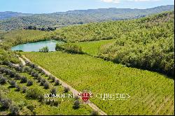 Chianti - VINEYARDS FOR SALE BETWEEN FLORENCE AND SIENA