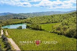 Chianti - VINEYARDS FOR SALE BETWEEN FLORENCE AND SIENA
