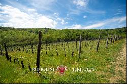 Chianti - VINEYARDS FOR SALE BETWEEN FLORENCE AND SIENA