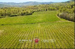 Chianti - VINEYARDS FOR SALE BETWEEN FLORENCE AND SIENA