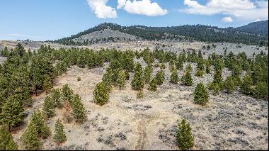 871200 square feet Land in Corvallis, Montana
