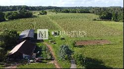 For sale organic vineyard in AOC Pécharmant and Rosette