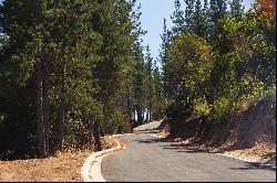 Plots in the Navidad commune, Los Bosques' sector.