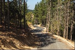 Plots in the Navidad commune, Los Bosques' sector.