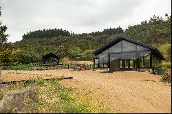 Plots in the Navidad commune, Los Bosques' sector.