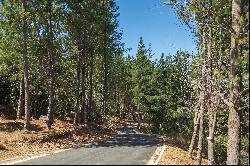 Plots in the Navidad commune, Los Bosques' sector.