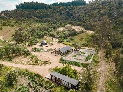 Plots in the Navidad commune, Los Bosques' sector.