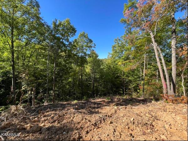 Caney Creek Lot 5, Pigeon Forge, TN, 37863