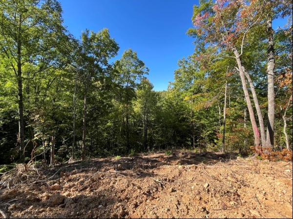 Lot 5 Caney Creek, Pigeon Forge, TN, 37863
