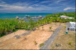 Beachfront Lot#5B- Coral Views Village