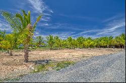 Beachfront Lot#5B- Coral Views Village