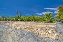 Beachfront Lot#5B- Coral Views Village