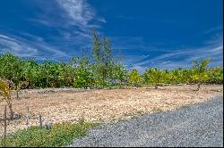 Beachfront Lot#6B-Coral Views Village