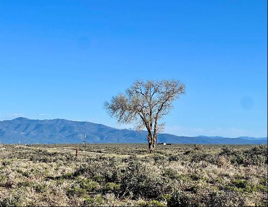 Lone Tree Lot 1 Greater World, Taos NM 87571