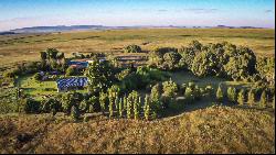 Amohela-Ho Spitskop, Farm John's Uitval, Erf 479, Senekal, Free State, 9735