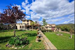 Wine estate in the heart of Chianti Classico