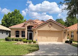 1312 W Skyview Crossing Drive, Hernando FL 34442