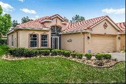 1312 W Skyview Crossing Drive, Hernando FL 34442