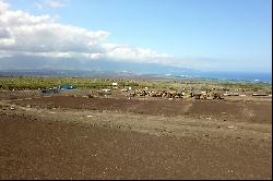 Country Living At Its Best! Bottom Row, Single Story With Ohana