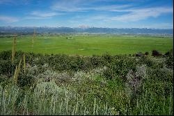 Alpine Setting With Full Teton Views