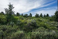 Alpine Setting With Full Teton Views