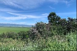 Alpine Setting With Full Teton Views