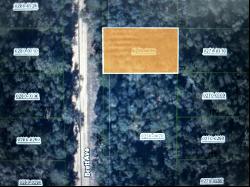 Brett Ave, Interlachen FL 32148