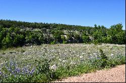 263+/- Acres Long Creek Ranch, Gillespie County, Fredericksburg, TX 78624