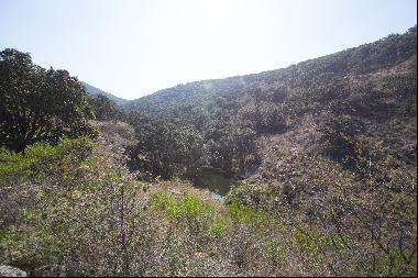 Santuario Los Picachos