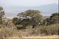 Santuario Los Picachos