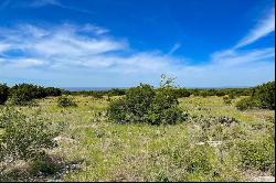 Lot 149 Three Creeks Drive, Bertram, TX 78605