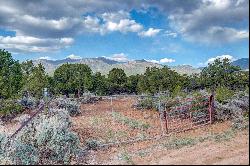 Canyon of the Woods Off Hondo Seco Road, Des Montes NM 87514