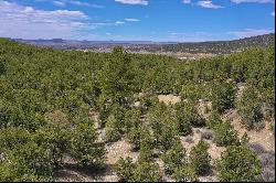 Canyon of the Woods Off Hondo Seco Road, Des Montes NM 87514