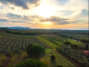 Campiglia Marittima