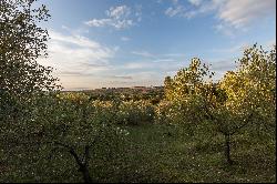 Campiglia Marittima